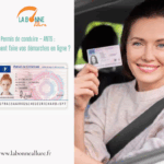 PERMIS DE CONDUIRE ANTS